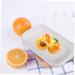 Alipis 4pcs Box Crisper Fridge Organizer Vegetable Container Seal Fridge Can Seal Can Food Storage Tank - Buy Online on GoSupps.com