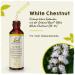  Bach BACHFLEUS White Chestnut Drops 20 ml - Buy Online on GoSupps.com