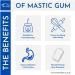 Fresh & Premium Quality Greek Mastic Gum Chios Tears from Greece - Small/Normal Tears (20g) - Buy Online on GoSupps.com
