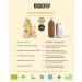 Kombuchery Ginger Kombucha - 12 x 330ml | Organic Vegan Low-Calorie Fermented Tea Drink | Healthy & Sustainable - Buy Online on GoSupps.com