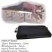 Speeder Board Chiropractic Tool | Strength Training Device for Shoulders Elbows Ankles & Wrists | International Shipping Available - Buy Online on GoSupps.com