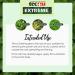 Tecnu Extreme Poison Ivy and Oak Scrub - 4 oz (Pack of 1) | Removes Plant Oils, Prevents Rash and Itching - Buy Online on GoSupps.com