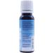 PME Sky Blue Food Colouring 25g - Vibrant Edible Dye for Baking and Decorating - Buy Online on GoSupps.com