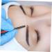 VINTORKY 12pcs Lip Liner Eyeliner Eye Shadow Pencils Makeup Pencil Eyeliner Pencil Eyebrow Pencil Wooden - Buy Online on GoSupps.com