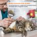 Pet Deshedding Brush for Dogs & Cats - 2 Sided Undercoat Rake - Grooming Comb for Safe Hair Dematting - Orange - Buy Online on GoSupps.com
