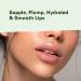 M3 Naturals Collagen Lip Plumper: Fuller, Softer Lips, Hydrating Gloss Primer - Buy Online on GoSupps.com