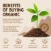 Sevenhills Wholefoods Organic Spirulina Powder 200g - Pack of 1 - Buy Online on GoSupps.com
