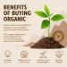 Buy Sevenhills Wholefoods Organic Pumpkin Seeds from Austria - 900g | International Shipping Available - Buy Online on GoSupps.com