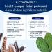 Naturavignon Nutradiet Coupe Faim | Caroube + Nopal | Coupe faim puissant et efficace | Perte de poids rapide et efficace | Minceur perte de poids rapidement | gelule minceur puissante (90) - Buy Online on GoSupps.com