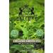 SRILUXE - Premium Quality Organic Green Tea Leaves | 100% Natural Pure Green Tea | Powerful ANTIOXIDANTS | | Serve as ICED Tea or Brew Hot | Kombucha Tea | Loose-Leaf Tea (250g Green) 250g Green - Buy Online on GoSupps.com