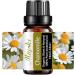Chamomile Essential Oil 10ml | Perfect for Diffuser Humidifier Massage Bath & SPA - International Shipping - Buy Online on GoSupps.com