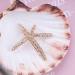 Cimenexe Bohemian Starfish Hair Clip Textured Sea Star Hair Barrette Gold Starfish Hair Pins Clips Rhinestone Headwear Decorative Hair Accessories Jewelry for Women and Girls - Buy Online on GoSupps.com