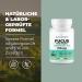 Buy Bandini Fucus Kelp Algae 150mcg - Natural Iodine Source for Energy Metabolism Hair & Nails | High Dose Vegan 365 Tablets - International Shipping Available - Buy Online on GoSupps.com