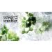 Helen Seward Nutrive Olea Mask 250ml - Deep Conditioning Hair Treatment - Buy Online on GoSupps.com
