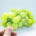 10Pcs 0.04 Thick Clear Acrylic Sheets - Transparent Round Panels for Picture Frame, Painting, DIY Crafts - 2.5 inch (6.35 cm) - Buy Online on GoSupps.com