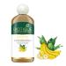 Biotique Banana Deeply Nourishing Hair Shampoo - 300ml for Normal to Dry Hair | Best Natural Hair Care - Buy Online on GoSupps.com