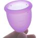 Croing Set of 2 Menstrual Cups - White L & Purple S - Buy Online on GoSupps.com