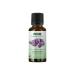 Now Foods Organic Essential Oils Lavender 1 fl oz (30 ml)