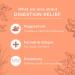 Gya Labs Digestion Relief Essential Oil Roll On (10ml) - Fresh Earthy Scent | Natural Digestive Aid Roll-On - Buy Online on GoSupps.com
