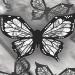 Butterfly Eyeliner Stencil Butterfly Eyeliner Stamp Butterfly Eyeliner Stencils for Eyes Wing Butterfly Stencil for Eyeliner Winged Eyeliner Tool Reusable and Flexible Eyeliner Stencil (Color : 3PCS - Buy Online on GoSupps.com