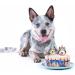 12PCS Puppy Cupcake Topper Dog Cupcake Topper Picks Pet Theme Puppy Themed Birthday Party Decorations Gog - Buy Online on GoSupps.com