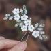 Relandy Flower Bride Wedding Hair Pin Crystal Silver Headpiece Rhinestone Bridal Hair Accessories for Women and Girls