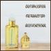 Anointing Oil from Jerusalem - Blessed Frankincense & Myrrh Roll-On 12ml | Holy Oil in Elegant Bottle | Perfect Religious Gift for Prayers & Blessings - Buy Online on GoSupps.com