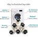 Wool Dryer Balls - 6Pack- Reusable Natural Fabric Softener dryer balls Boules De S chage Large Felted Wool Laundry Balls to Save Drying Time and Reduce Wrinkles By Stwie 7 Count (Pack of 1) - Buy Online on GoSupps.com
