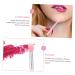 Buy Housoutil 4 Sets Lip Gloss Brush - Mini Lipstick & Blackhead Remover for Makeup | SEO Optimized Beauty Tools - Buy Online on GoSupps.com