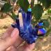 Specimen 70-80g Quartz Crystal Titanium Bismuth Silicon Cluster ERTEYIN - Buy Online on GoSupps.com