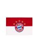 FC Bayern Munich Fahn Logo Rot-Weiß