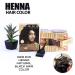 Henna Hair Color 30 Minute Enriched with Herbs Semi Permanent Powder - Natural Black Dye for Men & Women - Buy Online on GoSupps.com