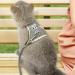 Shop Lumenty Adjustable Leash & Harness for Rabbits - 1.20m Breathable West Design for Small Pets | Ideal for Dwarf Rabbits & Cats - Buy Online on GoSupps.com