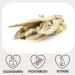 Petlove Rabbit Ears with Fur - 100% Natural Dog & Cat Treats (800g) | Easily Digestible & Nutritious Kausnack - Buy Online on GoSupps.com