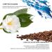 ROUSE Collagen Under Eye Patches with Caffeine - Dark Circles & Puffiness Treatment - 20 Pairs - Buy Online on GoSupps.com