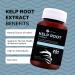 Fine USA Kelp Root Extract for Healthy Thyroid & Immune System | Natural Source of Iodine, Fucoidan & Magnesium | Vegan Non-GMO | Ethically Sourced in Japan - 300 x 300mg - Buy Online on GoSupps.com