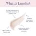 Lanolips 101 Ointment Coconutter Superbalm - Natural Healing Moisturizer (10g) - Buy Online on GoSupps.com