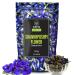 BLUE TEA - Shankhpushpi Flower Tea - 60 gm | HERBAL TEA | Caffeine Free - Vegan - Non-GMO | Nature Blue Tea | Zipper Pack