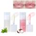 DAGEDA 2Pcs Hydrating Lip Glow Oil Moisturizing Lip Oil Gloss Transparent Toot Lip Oil Non-sticky Plumping Lip Oil Tinted Clear Lip Gloss Nourishing Repairing Reducing Lip Lines Lip Product (Set C) Taro and Water