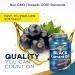 Nature's Life Black Currant Seed Oil 1000mg | Omega-3 ALA, Omega-6 GLA, Stearidonic Acid | 60ct - Buy Online on GoSupps.com