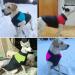 Femax Waterproof Dog Coat - Warm Jacket for Small & Medium Big Dogs | Winter Padded Vest for Cold Weather - Blue (Breast 35cm Back 26cm) - Buy Online on GoSupps.com