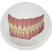 Medi-Inn Denture Cup - Tooth Container & Braces Box with Sieve & Screw Lid | White (1 Piece) - International Shipping Available - Buy Online on GoSupps.com
