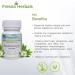 Shop Planet Ayurveda Praval Panchamrit | Ayurvedic Digestive Support | Natural Bloating Relief | 60 Veg Capsules for Healthy Urinary System - Buy Online on GoSupps.com
