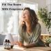 GV77ZF Essential Oil Two 4 Fl Oz (120Ml) Set - Pure Natural Peach Oil and Jasmine Essential Oil for Diffuser Humidifier Skin Care Home Fragrance Bath Hair Care Cleansing Massage Yoga DIY So - Buy Online on GoSupps.com