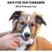 Jasper 360 Finger Toothbrush Kit for Pets - Full Surround Bristles, Dental Care for Puppies, Cats - Blue 2-Pack - Buy Online on GoSupps.com