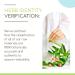 White Willow B120 Organic Tincture | Alcohol-Free Herbal Drops | High-Potency Salix alba Extract (4 oz) - USDA Certified Organic - Buy Online on GoSupps.com