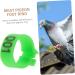 Levemolo 100 Pcs Pigeon Anklet Chicken Thighs Numbered Opening Pigeon Ring Chicken Foot Ring Baby Drumstick 1.3X1.3CM Green - Buy Online on GoSupps.com