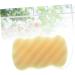 Didiseaon Hair Clips for Thin Hair Body Sponge Bathing Sponge Sponges for Body Natural Sponges Sponge for Skin Care Headpiece Holder Cleansing Sponge Facial Sponge Cleaning Supplies - Buy Online on GoSupps.com