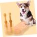 Sosoport 1 Set Pet Toothbrush Set Dog Toothbrush and Toothpaste Doggie Cat Travel Tufted Large Dog - Buy Online on GoSupps.com