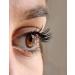 DIVALASH Lash Enhancing Serum | Natural Growth Peptides | Longer & Thicker Eyelashes | 4.2 mL | Cruelty-Free & Hypoallergenic - Buy Online on GoSupps.com